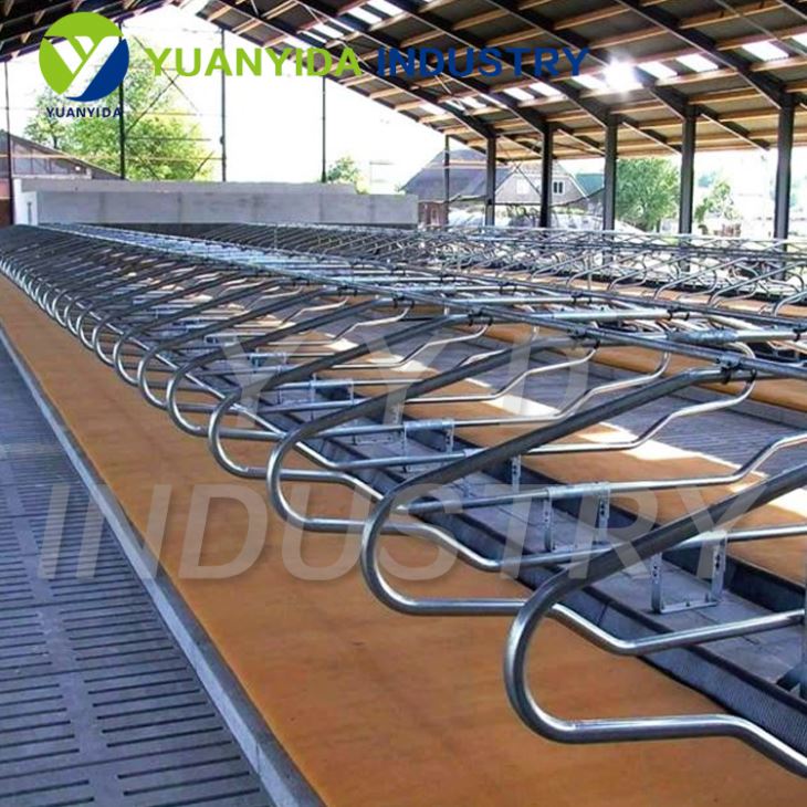 Dairy Cow Stall Equipment